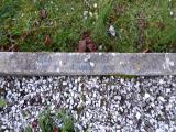 image of grave number 615321